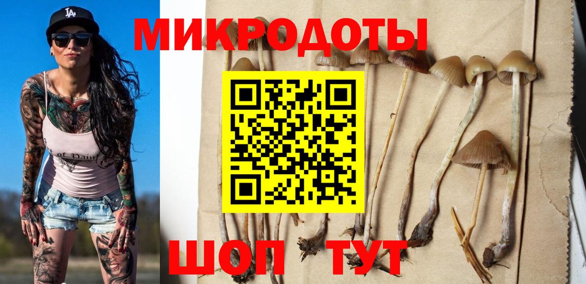 Псилоцибиновые грибы прущие грибы Кириши