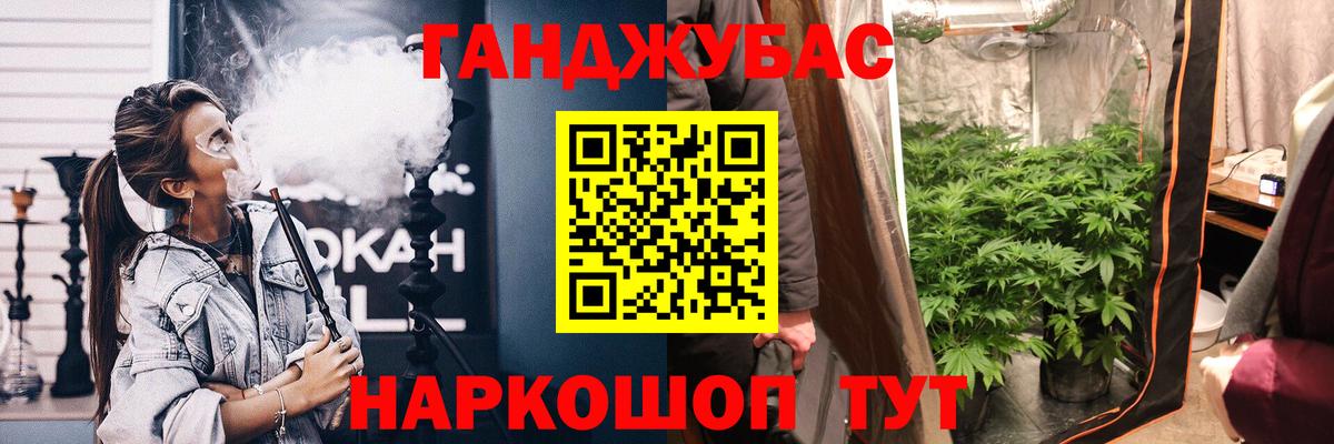 Шишки марихуана сатива  Марихуана план  Вход с VPN  Кириши  Марихуана OG Kush 